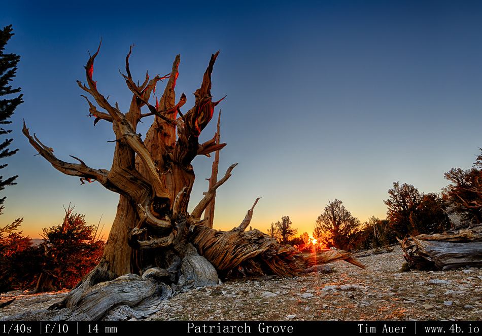 Golden red morning light