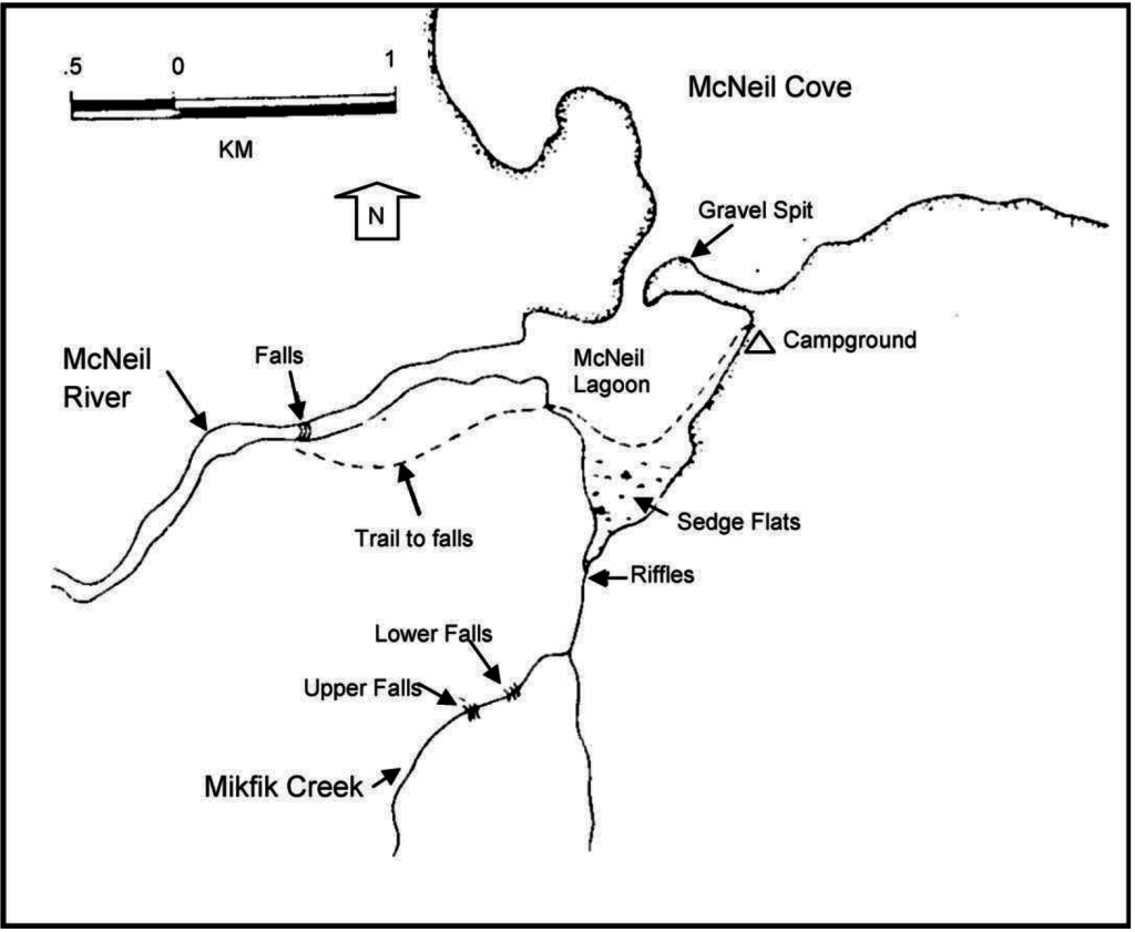 Detail of lower McNeil River and Lagoon, McNeil River State Game Sanctuary, Alaska, USA