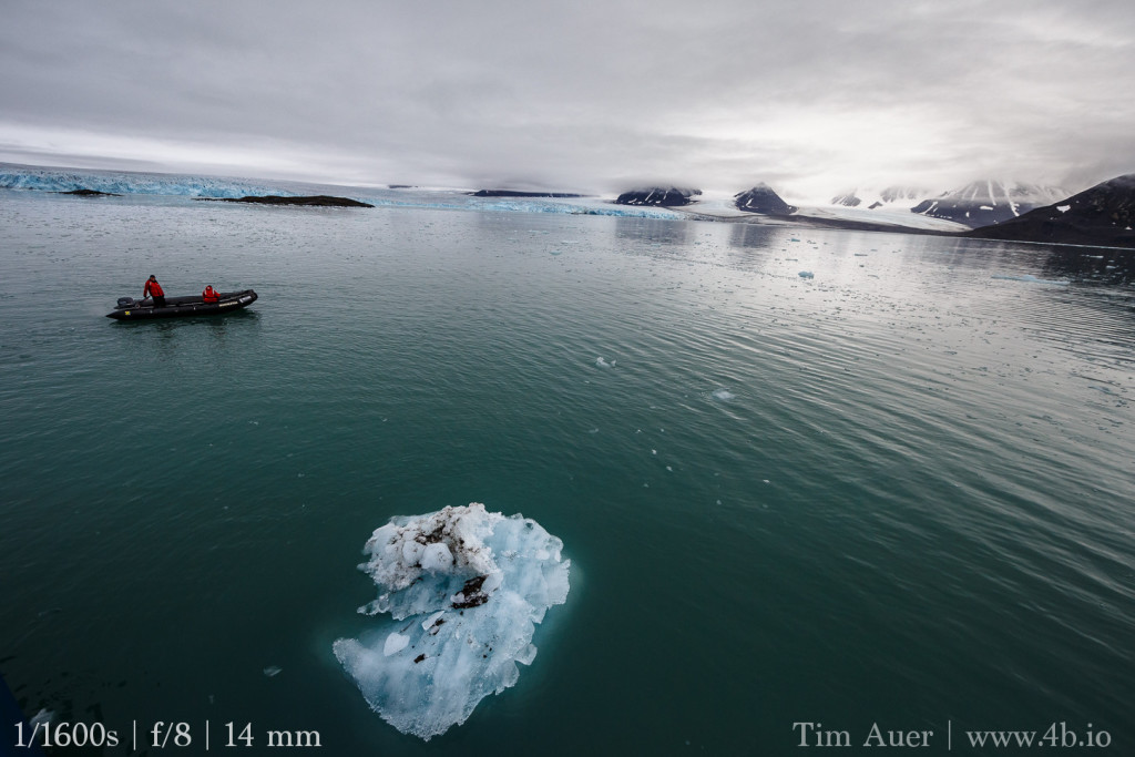 Arctic, beluga, birds, glacier, ice, icebergs, Krossfjord, lilliehook, Spitsbergen, svalbard, whales, wildlife